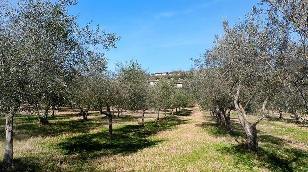 Casale San Pietro Bed & Breakfast Anagni Exterior foto